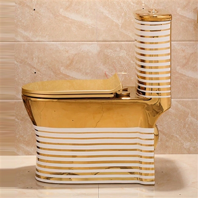 Wall Mounted Toilet